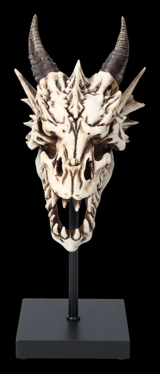 Drachen Totenkopf Auf Ständer 5 Drachen Totenkopf Auf Ständer – Bild 3