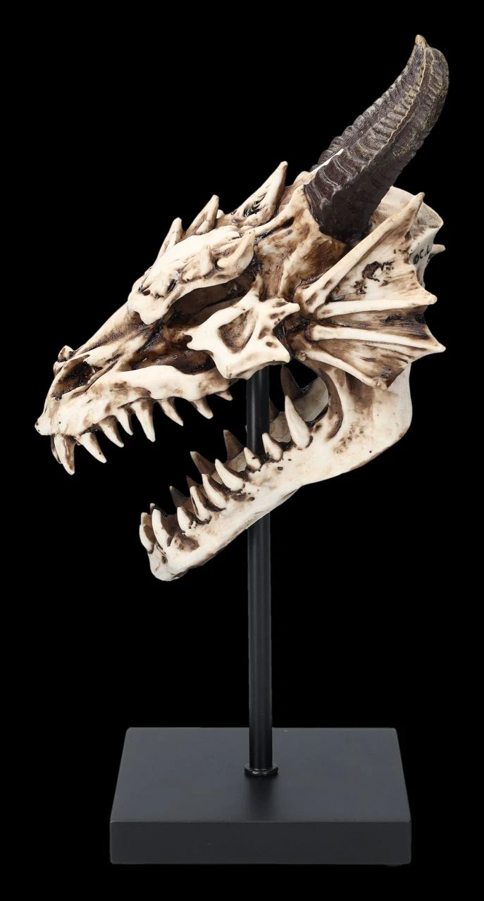 Drachen Totenkopf Auf Ständer 8 Drachen Totenkopf Auf Ständer – Bild 6
