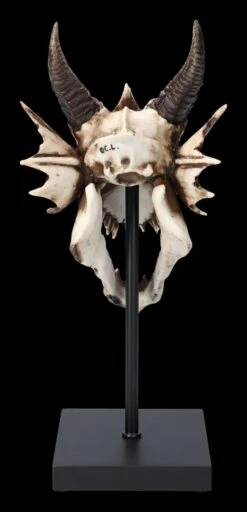 Drachen Totenkopf Auf Ständer 13 Drachen Totenkopf Auf Ständer -Figurenmodell Geschäft 2D FS23949 Drachen Totenkopf auf Stander 6 1280x1280