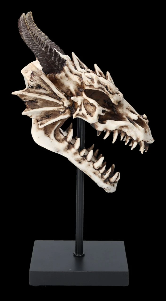 Drachen Totenkopf Auf Ständer 4 Drachen Totenkopf Auf Ständer – Bild 2