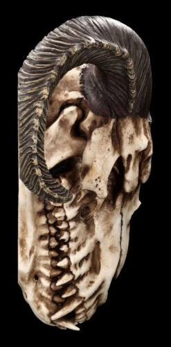 Wandrelief - Teuflischer Schädel Mit Pentagramm -Figurenmodell Geschäft 2D FS23952 Wandrelief Teuflischer Schadel mit Pentagramm 11 1280x1280