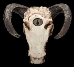 Wandrelief - Teuflischer Schädel Mit Pentagramm -Figurenmodell Geschäft 2D FS23952 Wandrelief Teuflischer Schadel mit Pentagramm 12 1280x1280