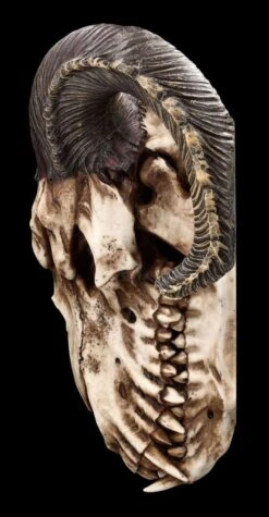 Wandrelief - Teuflischer Schädel Mit Pentagramm -Figurenmodell Geschäft 2D FS23952 Wandrelief Teuflischer Schadel mit Pentagramm 2 1280x1280