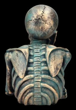 Skelett Büste - Der Denker -Figurenmodell Geschäft 2D FS23975 Skelett Buste Der Denker 3 1280x1280