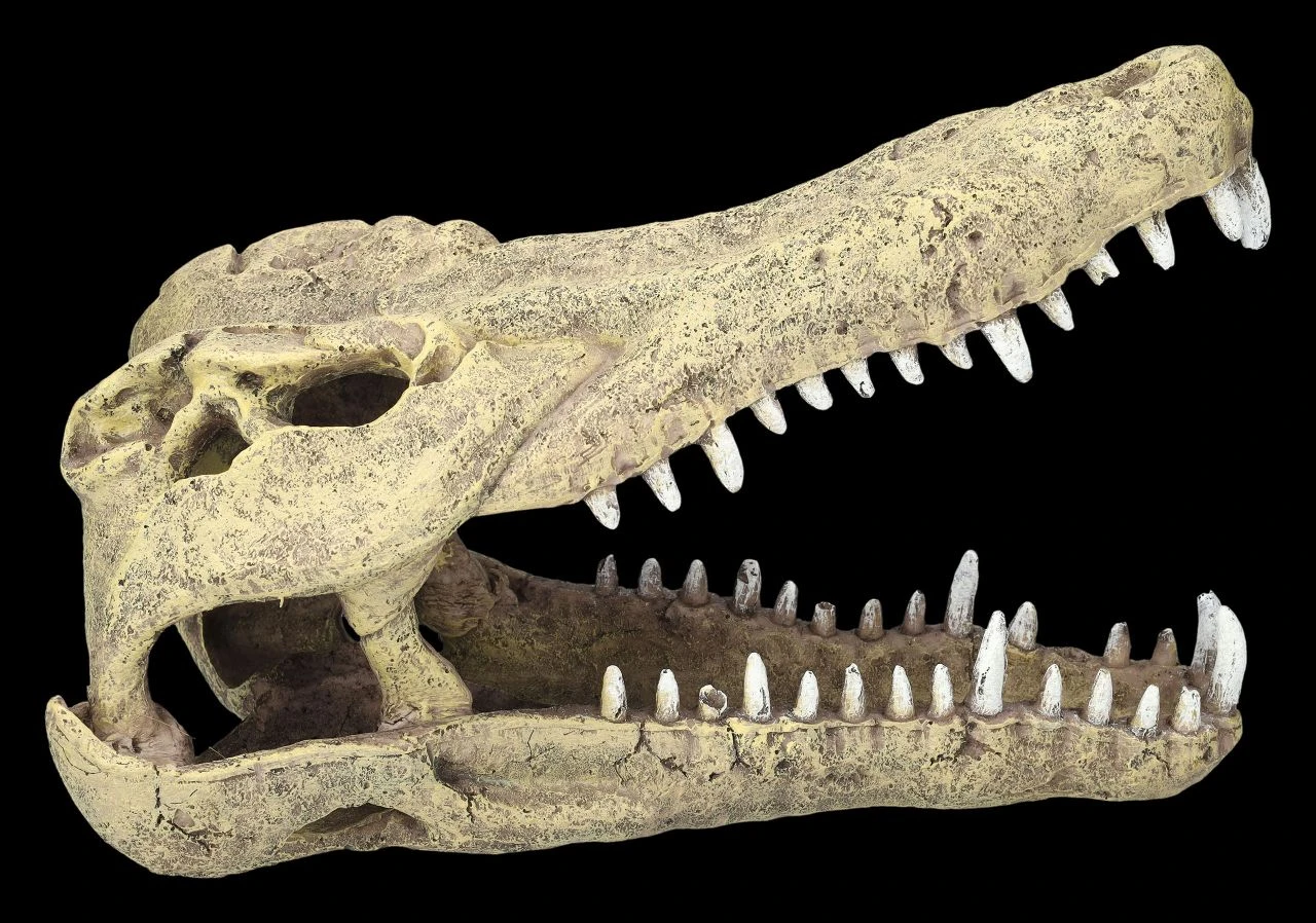 Aquarium Figur - Krokodilkopf L 7 Aquarium Figur - Krokodilkopf L – Bild 5