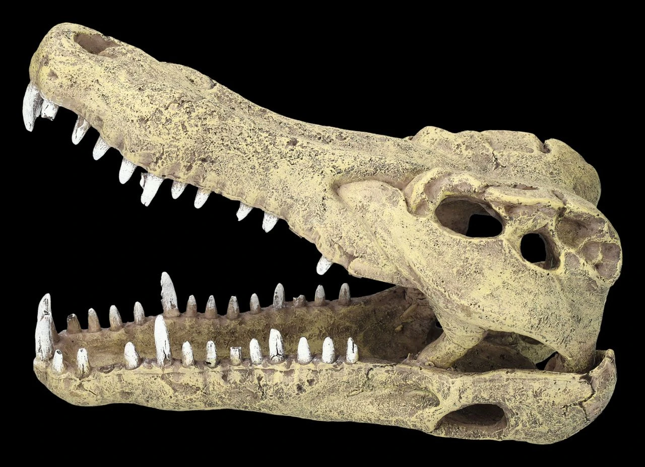 Aquarium Figur - Krokodilkopf L 4 Aquarium Figur - Krokodilkopf L – Bild 2