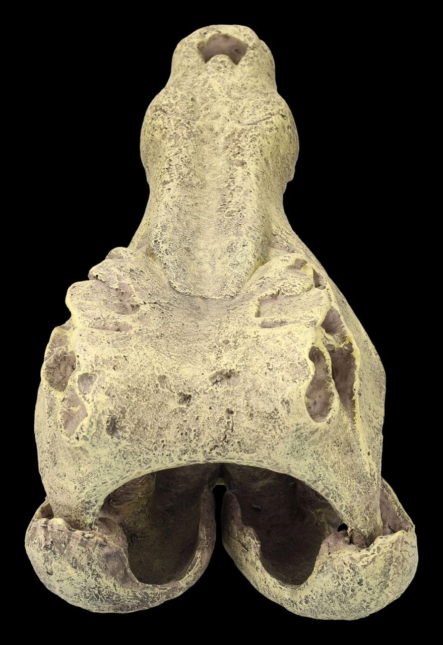 Aquarium Figur - Krokodilkopf L 8 Aquarium Figur - Krokodilkopf L – Bild 6