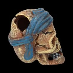 Aquarium Figur - Totenkopf Pirat Mit Tuch -Figurenmodell Geschäft 2D FS24149 Aquarium FigurPriat mit Tuch 4 1280x1280