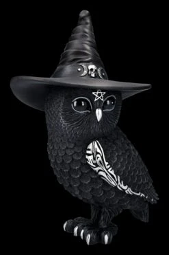 NEMESIS NOW Eulen Figur - Hexe Owlocen Groß -Figurenmodell Geschäft 2D FS24225 Eulen Figur Hexe Owlocen gross 5 1280x1280