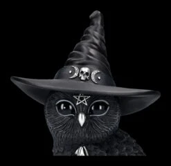 NEMESIS NOW Eulen Figur - Hexe Owlocen Groß -Figurenmodell Geschäft 2D FS24225 Eulen Figur Hexe Owlocen gross 7 1280x1280