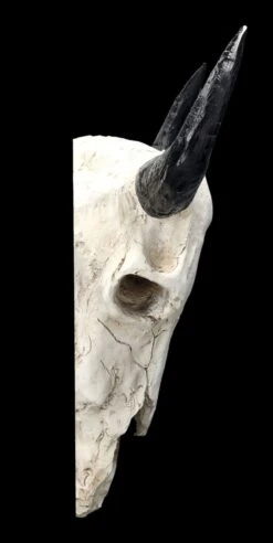 Wanddeko - Bison Totenkopf -Figurenmodell Geschäft 2D FS24383 Wanddeko Bison Totenkopf 12 1280x1280