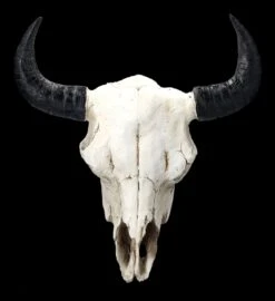 Wanddeko - Bison Totenkopf