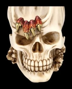 Rückfluss Räucherhalter Totenkopf - Dragon Within -Figurenmodell Geschäft 2D FS24684 Ruckfluss Raucherhalter Totenkopf Dragon Within 7 1280x1280