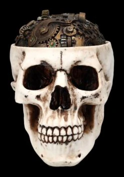 Totenkopf Schatulle - Zahnrad Deckel -Figurenmodell Geschäft 2D FS24740 Totenkopf Schatulle Zahnrad Deckel 1 1280x1280