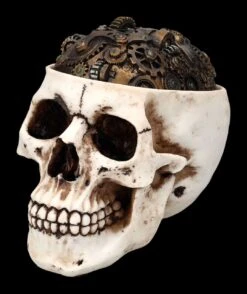Totenkopf Schatulle - Zahnrad Deckel -Figurenmodell Geschäft 2D FS24740 Totenkopf Schatulle Zahnrad Deckel 6 1280x1280