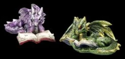Drachen Figuren 2er Set Lesen Buch 15 Drachen Figuren 2er Set Lesen Buch -Figurenmodell Geschäft 2D FS24985 Drachen Figuren 2er set lesen Buch 6 1280x1280