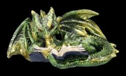 Drachen Figuren 2er Set Lesen Buch 17 Drachen Figuren 2er Set Lesen Buch -Figurenmodell Geschäft 2D FS24985 Drachen Figuren 2er set lesen Buch 7 1280x1280
