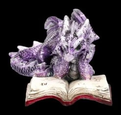 Drachen Figuren 2er Set Lesen Buch 16 Drachen Figuren 2er Set Lesen Buch -Figurenmodell Geschäft 2D FS24985 Drachen Figuren 2er set lesen Buch 9 1280x1280