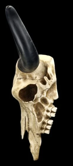 Wandrelief Totenkopf - Longhorn Rinderschädel 14 Wandrelief Totenkopf - Longhorn Rinderschädel -Figurenmodell Geschäft 2D FS25104 Wandrelief Totenkopf Langhorn Rindersch del 2 1280x1280
