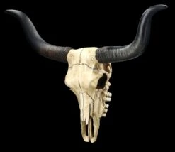 Wandrelief Totenkopf - Longhorn Rinderschädel 11 Wandrelief Totenkopf - Longhorn Rinderschädel -Figurenmodell Geschäft 2D FS25104 Wandrelief Totenkopf Langhorn Rindersch del 4 1280x1280