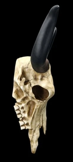 Wandrelief Totenkopf - Longhorn Rinderschädel 16 Wandrelief Totenkopf - Longhorn Rinderschädel -Figurenmodell Geschäft 2D FS25104 Wandrelief Totenkopf Langhorn Rindersch del 8 1280x1280