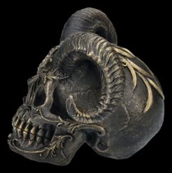 Totenkopf Figur Mit Hörnern - Diabolus 13 Totenkopf Figur Mit Hörnern - Diabolus -Figurenmodell Geschäft 2D FS25162 Totenkopf Figur mit H rnern Diabolus 4 1280x1280