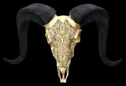 Wandrelief - Widderschädel Mit Verzierungen Mittel