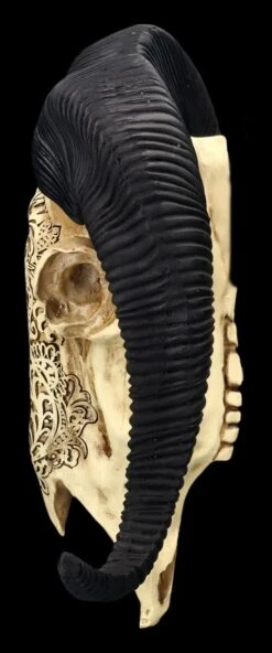 Wandrelief - Widderschädel Mit Verzierungen Mittel -Figurenmodell Geschäft 2D FS25252 Wandrelief Widdersch del mit Verzierungen klein 2 1280x1280
