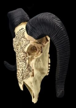 Wandrelief - Widderschädel Mit Verzierungen Mittel -Figurenmodell Geschäft 2D FS25252 Wandrelief Widdersch del mit Verzierungen klein 3 1280x1280