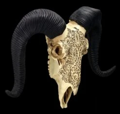 Wandrelief - Widderschädel Mit Verzierungen Mittel -Figurenmodell Geschäft 2D FS25252 Wandrelief Widdersch del mit Verzierungen klein 7 1280x1280