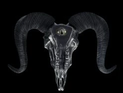 Wandrelief - Widderschädel Mit Verzierungen Groß Silber -Figurenmodell Geschäft 2D FS25254 Wandrelief Widdersch del mit Verzierungen gross silber 11 1280x1280