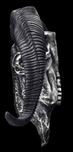 Wandrelief - Widderschädel Mit Verzierungen Groß Silber -Figurenmodell Geschäft 2D FS25254 Wandrelief Widdersch del mit Verzierungen gross silber 3 1280x1280