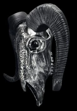 Wandrelief - Widderschädel Mit Verzierungen Groß Silber -Figurenmodell Geschäft 2D FS25254 Wandrelief Widdersch del mit Verzierungen gross silber 4 1280x1280