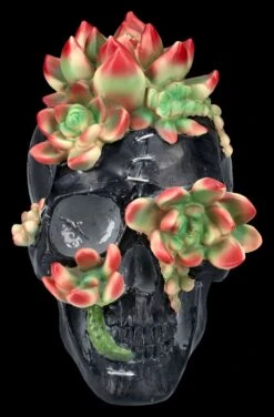 Totenkopf Figur Mit Sukkulenten 12 Totenkopf Figur Mit Sukkulenten -Figurenmodell Geschäft 2D FS25273 Totenkopf Figur mit Sukkulenten 1 1280x1280