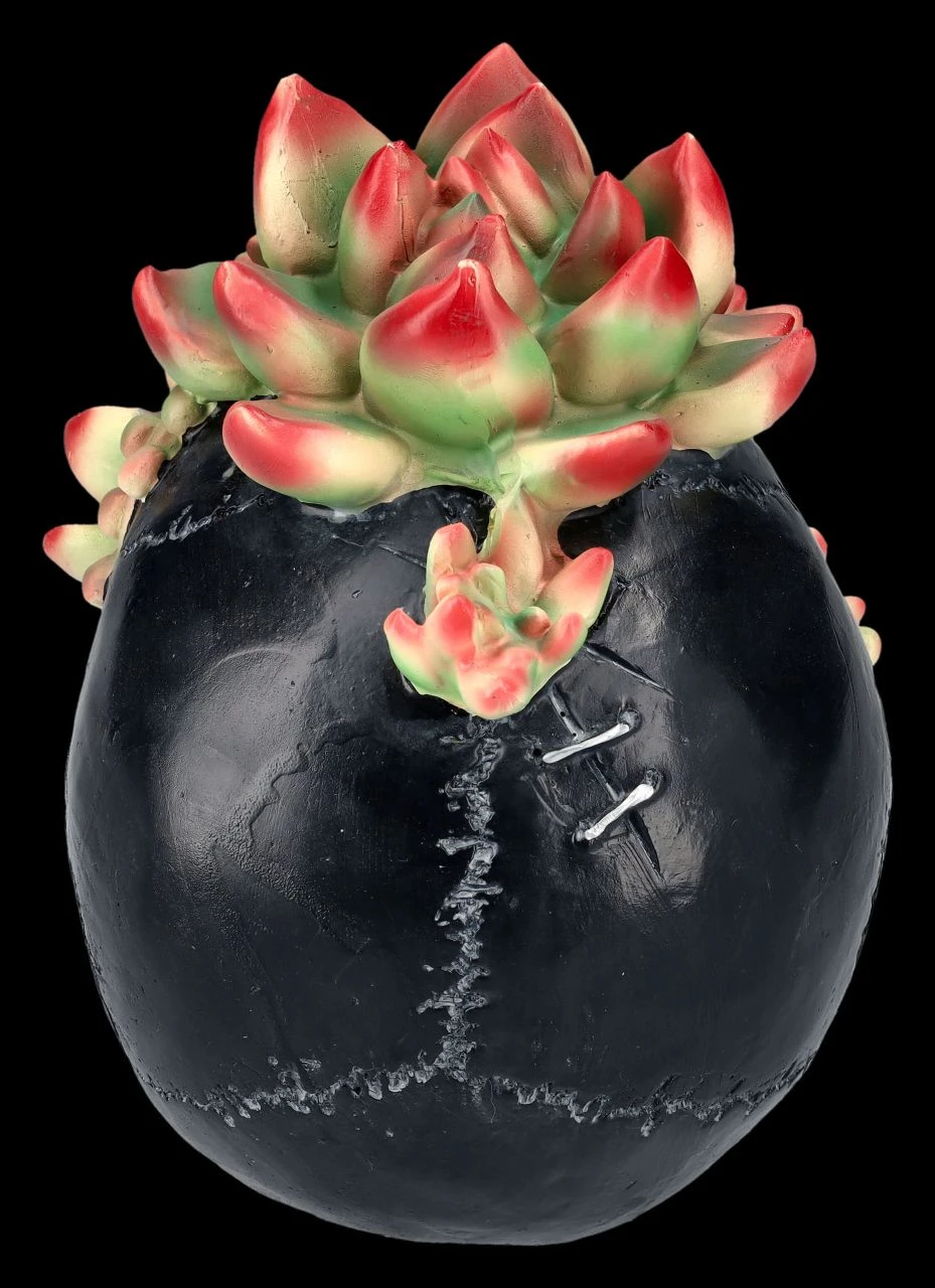 Totenkopf Figur Mit Sukkulenten 8 Totenkopf Figur Mit Sukkulenten – Bild 6