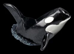Flaschenhalter - Schwertwal Orca -Figurenmodell Geschäft 2D FS25358 Flaschenhalter Schwertwal Orca 10 1280x1280