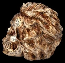 NEMESIS NOW Totenkopf Figur - Einstein Relativitätstheorie -Figurenmodell Geschäft 2D FS25377 Totenkopf Figur Einsteins Relativit tstherorie 2 1280x1280