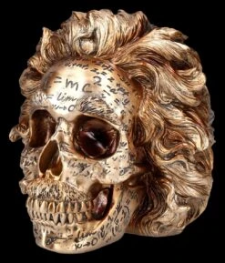 NEMESIS NOW Totenkopf Figur - Einstein Relativitätstheorie -Figurenmodell Geschäft 2D FS25377 Totenkopf Figur Einsteins Relativit tstherorie 6 1280x1280