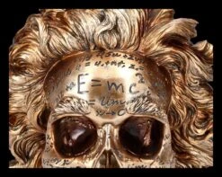NEMESIS NOW Totenkopf Figur - Einstein Relativitätstheorie -Figurenmodell Geschäft 2D FS25377 Totenkopf Figur Einsteins Relativit tstherorie 7 1280x1280