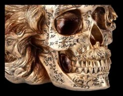 NEMESIS NOW Totenkopf Figur - Einstein Relativitätstheorie -Figurenmodell Geschäft 2D FS25377 Totenkopf Figur Einsteins Relativit tstherorie 8 1280x1280