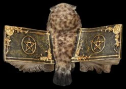 Eulen Figur Braun - Botschafterin Mit Buchflügeln -Figurenmodell Geschäft 2D FS25623 Eulen Figur braun Botschafter mit Buchfl geln 3 1280x1280