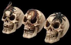 Totenkopf 3er Set - Spinne Skorpion Tausendfüssler -Figurenmodell Geschäft 2D FS25697 Totenkopf 3er Set Spinne Skorpion Tausendf ssler 2 1280x1280
