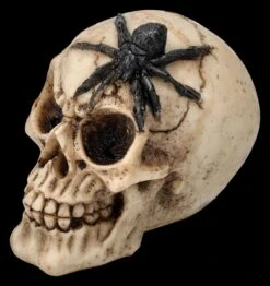 Totenkopf 3er Set - Spinne Skorpion Tausendfüssler -Figurenmodell Geschäft 2D FS25697 Totenkopf 3er Set Spinne Skorpion Tausendf ssler 5 1280x1280