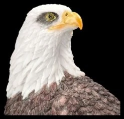 Adler Figur - Amerikanischer Weißkopfseeadler -Figurenmodell Geschäft 2D FS25794 Adler Figur Amerikanischer Weisskopfseeadler 2 1280x1280
