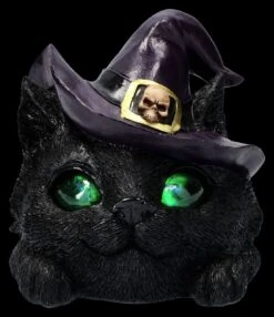 Hexenkatzen-Kopf Dekofigur - Familiar Grin 16 Hexenkatzen-Kopf Dekofigur - Familiar Grin -Figurenmodell Geschäft 2D FS26096 Hexenkatzenkopf Dekofigur LED FAmiliar Grin 8 1280x1280