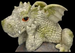 Garten Figur - Drache Als Zaunhänger -Figurenmodell Geschäft 2D FS26152 Garten Figur Drache als Zaunh nger 2 1280x1280