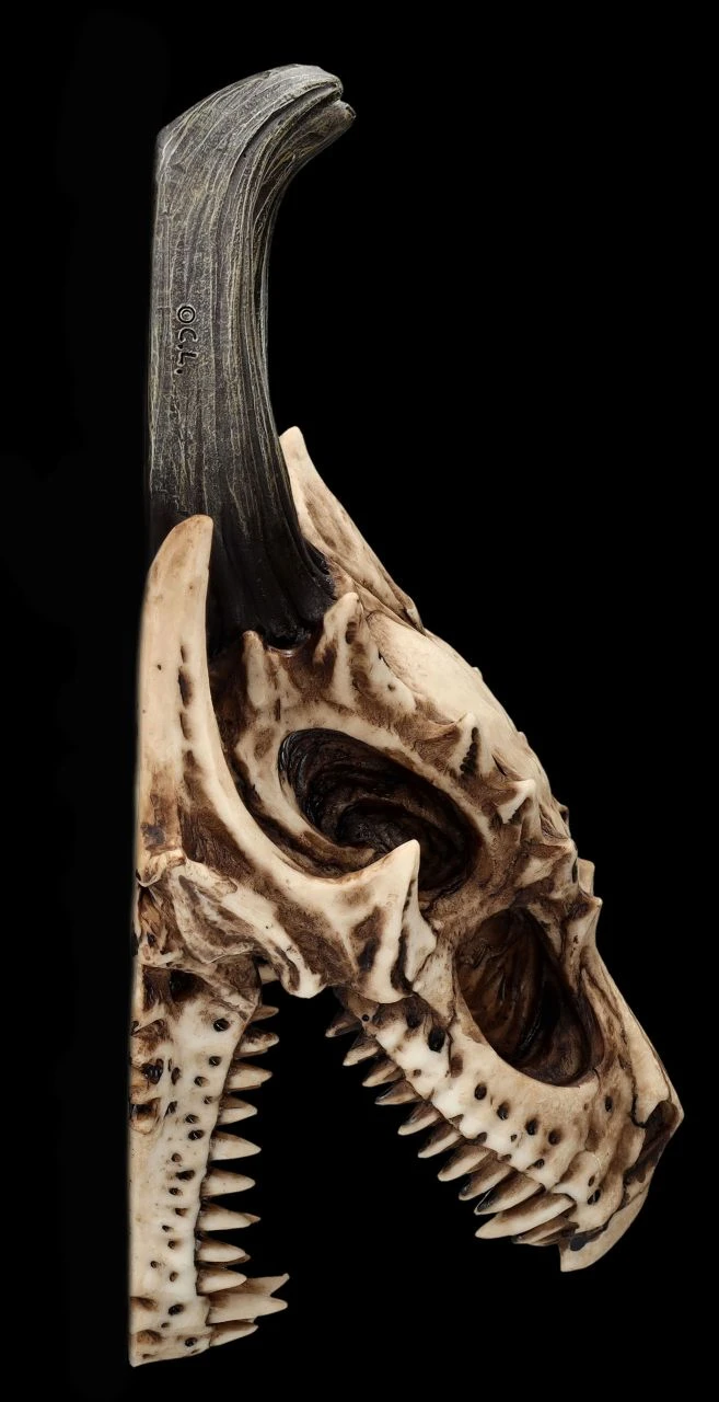 Totenkopf Wanddeko - Fieser Drachen Schädel 10 Totenkopf Wanddeko - Fieser Drachen Schädel – Bild 8