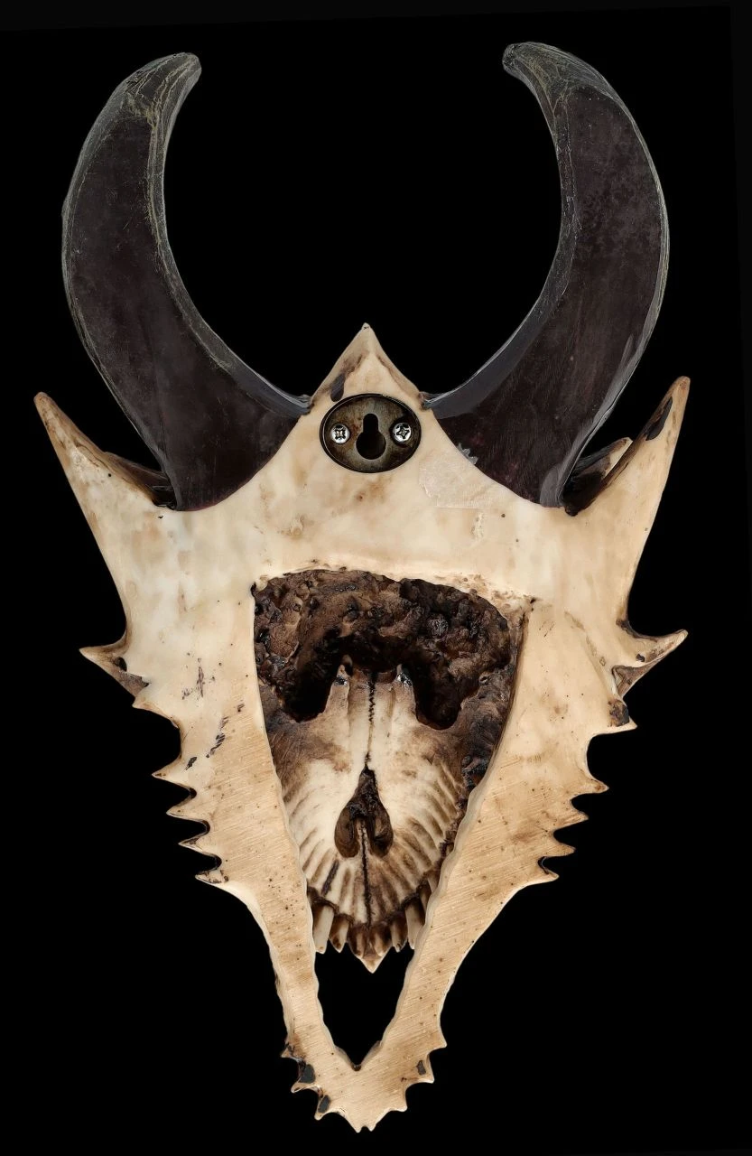 Totenkopf Wanddeko - Fieser Drachen Schädel 9 Totenkopf Wanddeko - Fieser Drachen Schädel – Bild 7