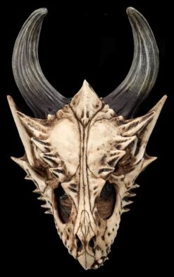 Totenkopf Wanddeko - Fieser Drachen Schädel 13 Totenkopf Wanddeko - Fieser Drachen Schädel -Figurenmodell Geschäft 2D FS26191 Totenkopf Figur Fieser Drachen Sch del 3 1280x1280