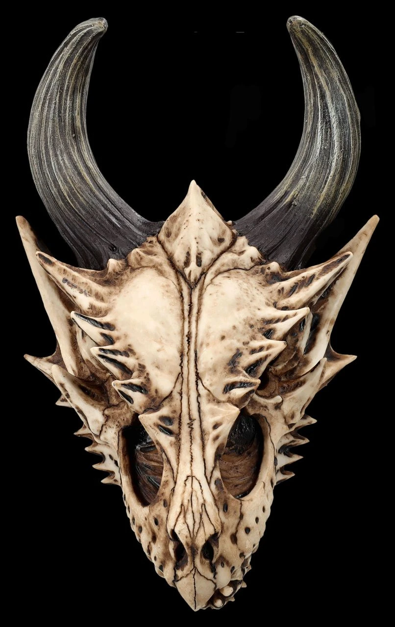 Totenkopf Wanddeko - Fieser Drachen Schädel 6 Totenkopf Wanddeko - Fieser Drachen Schädel – Bild 4